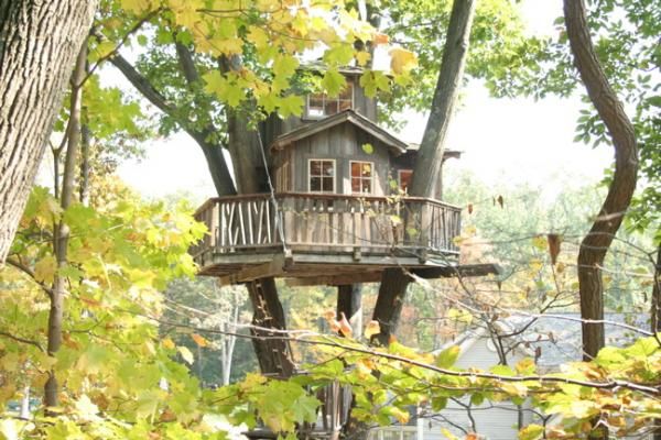 Pete-Nelson-tree-house_3600_400.jpg